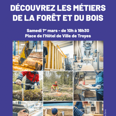 Découvrez les métiers de la forêt et du bois