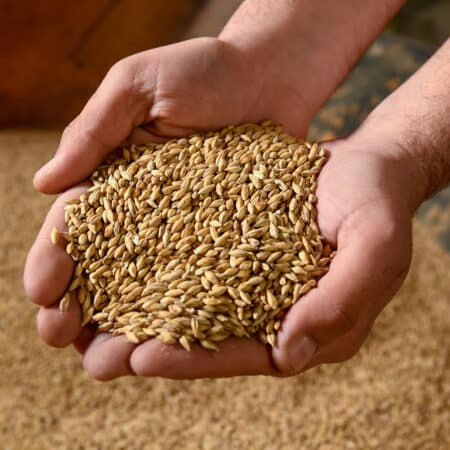 Implantez votre entreprise dans l’agroalimentaire en Sud Champagne